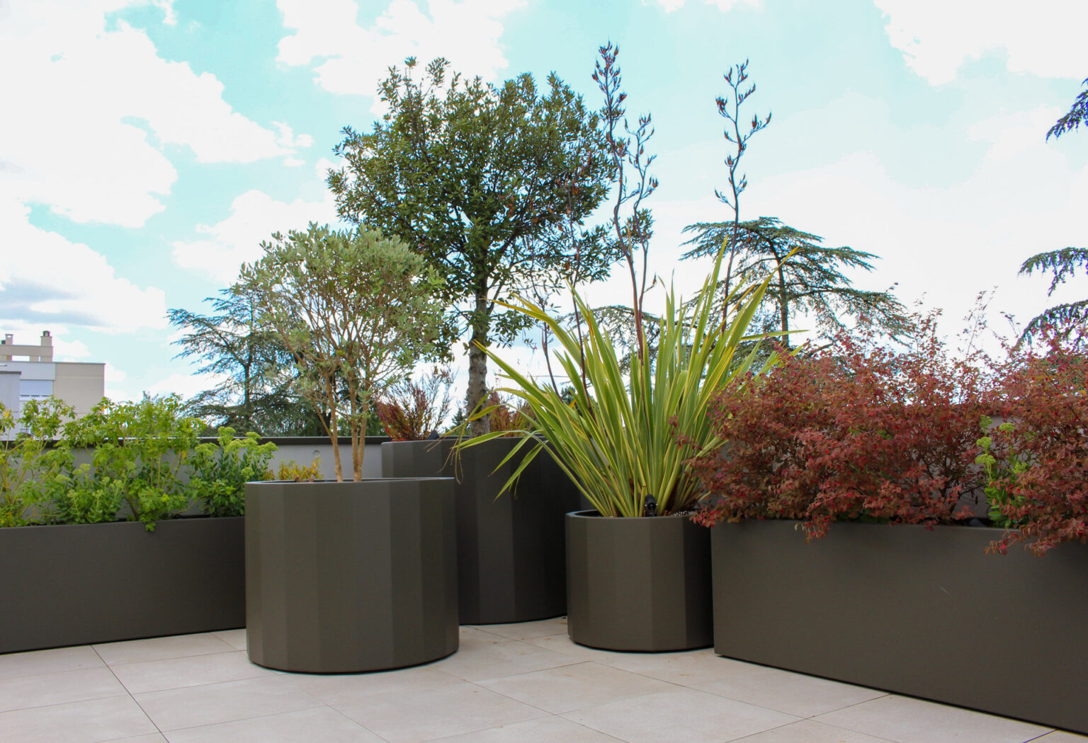 Bacs aluminium laqués ronds et rectangulaires plantés d'arbustes, phormium et érable pourpre – projet ACER