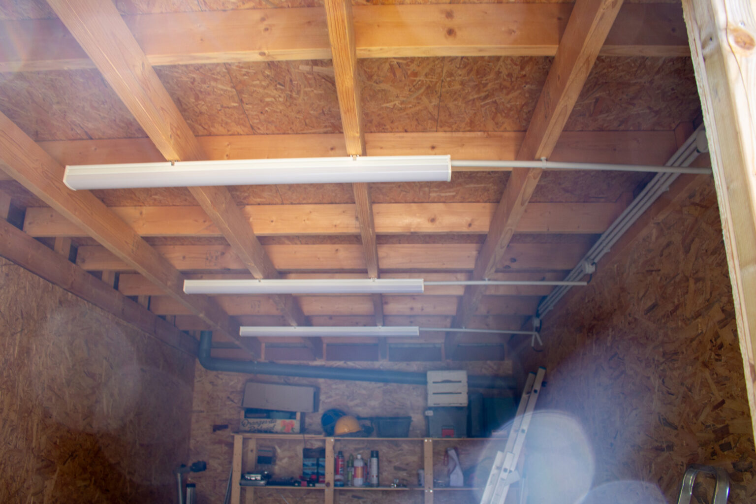 Intérieur de l'abri de jardin bois : charpente apparente, réglettes lumineuses et étagères – projet BETULA