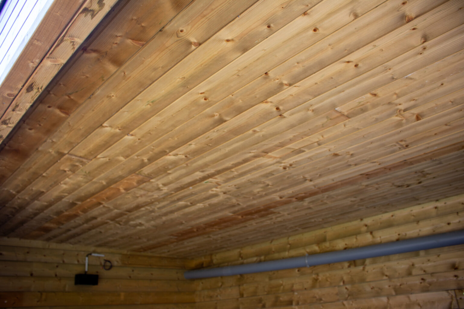 Plafond en lambris bois de l'abri de jardin avec gaine électrique apparente et applique noire – projet BETULA