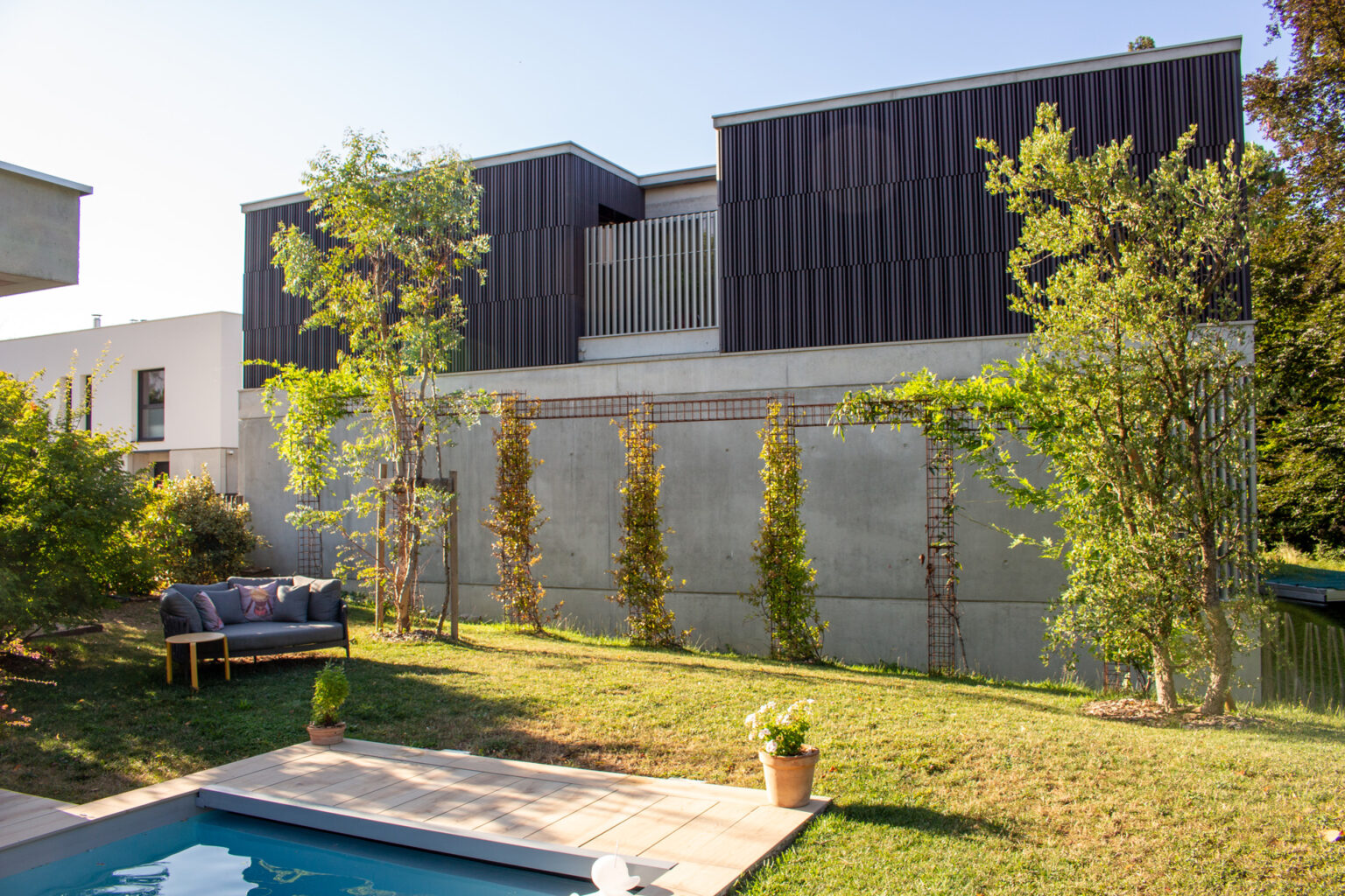 Jardin arrière avec piscine, canapé d'extérieur et colonnes acier végétalisées devant le mur voisin – projet BUXUS