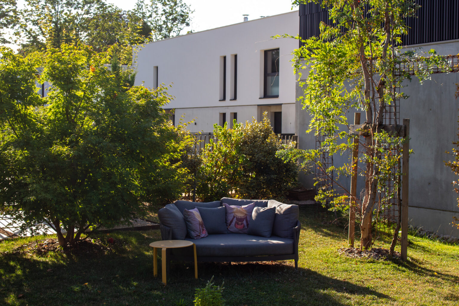 Canapé gris et table basse jaune sur la pelouse sous un érable, colonnes acier plantées derrière – projet BUXUS