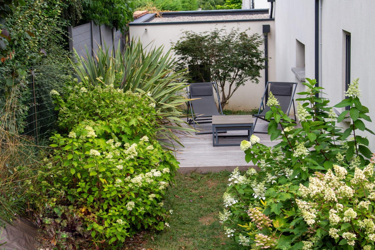 Terrasse ipé côté nord avec transats et table basse, hortensias paniculés, phormium et érable du Japon – projet BAOBAB