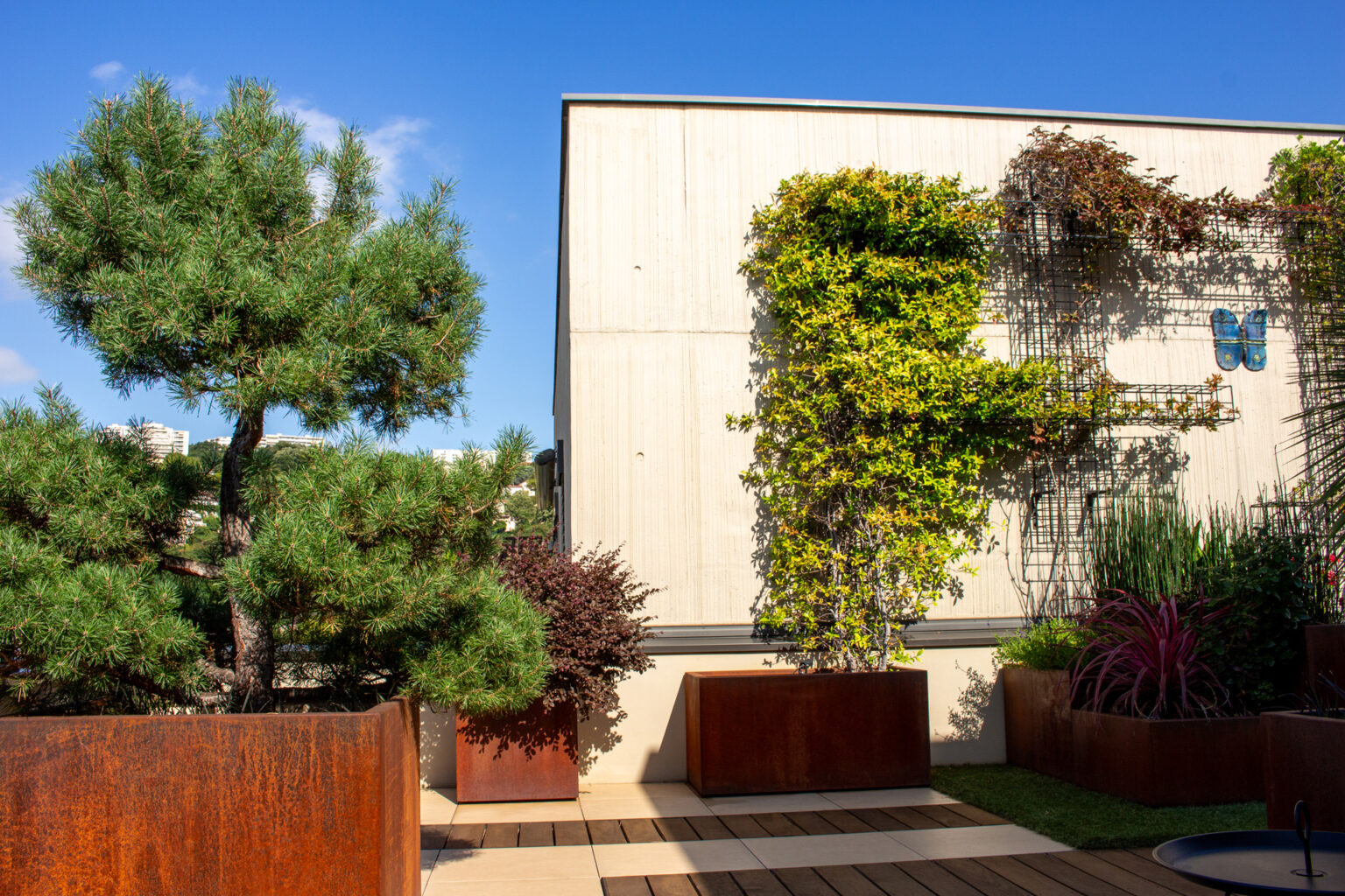 Vue d'ensemble de la terrasse : pin en bac corten, mur béton végétalisé, caillebotis ipé et grès cérame – projet JASMINUM