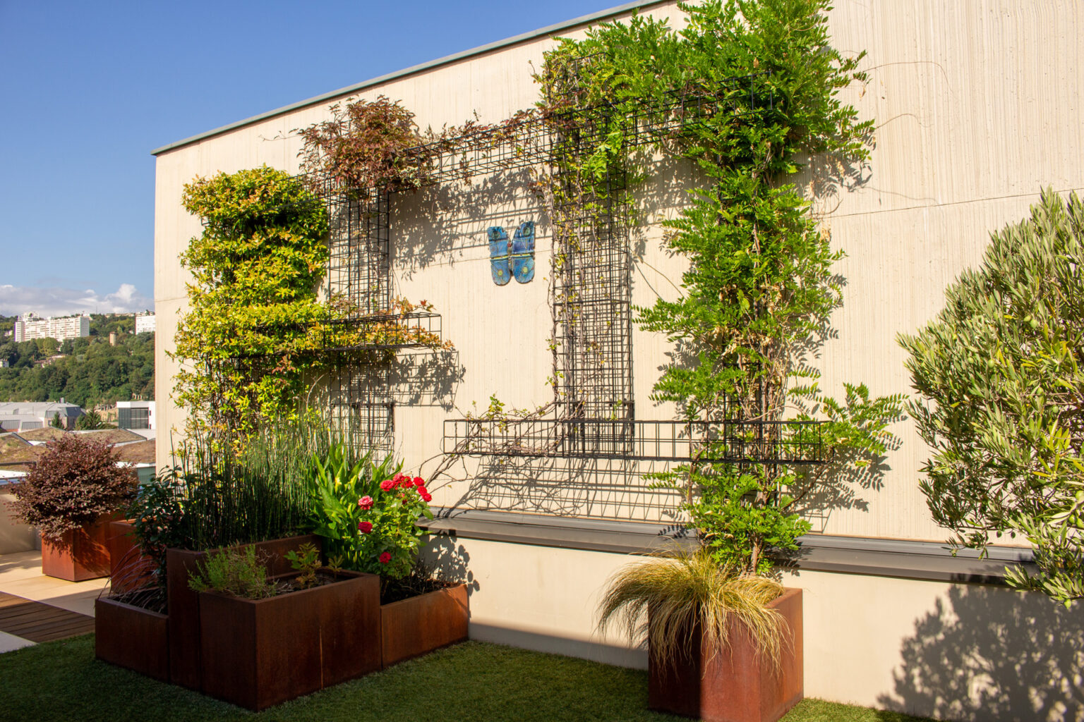 Mur béton habillé de colonnes acier végétalisées, bacs corten fleuris et olivier, vue sur les coteaux – projet JASMINUM