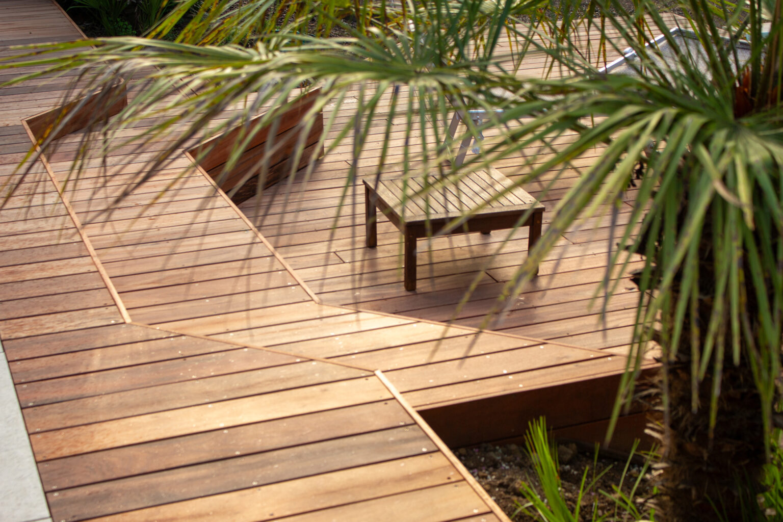 Plage en bois exotique avec table basse en bois, banquette et palmes d'un chamaerops au premier plan – projet LAVANDULA