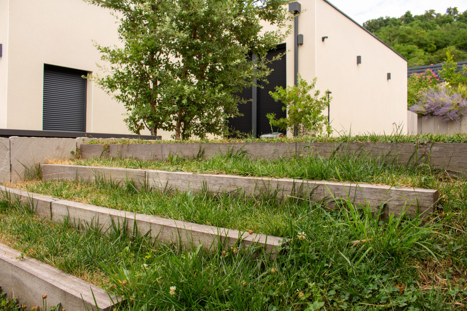 Marches en bois enherbées gravissant le talus végétalisé devant une maison contemporaine – projet LOROPETALUM