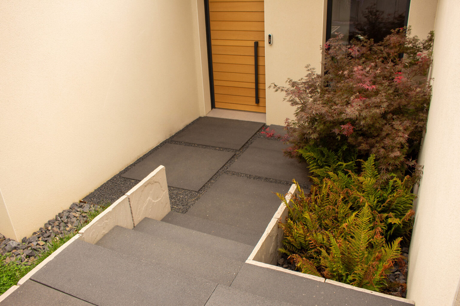 Entrée en dalles de béton anthracite avec marches, porte en bois, érable du Japon et fougères – projet LOROPETALUM