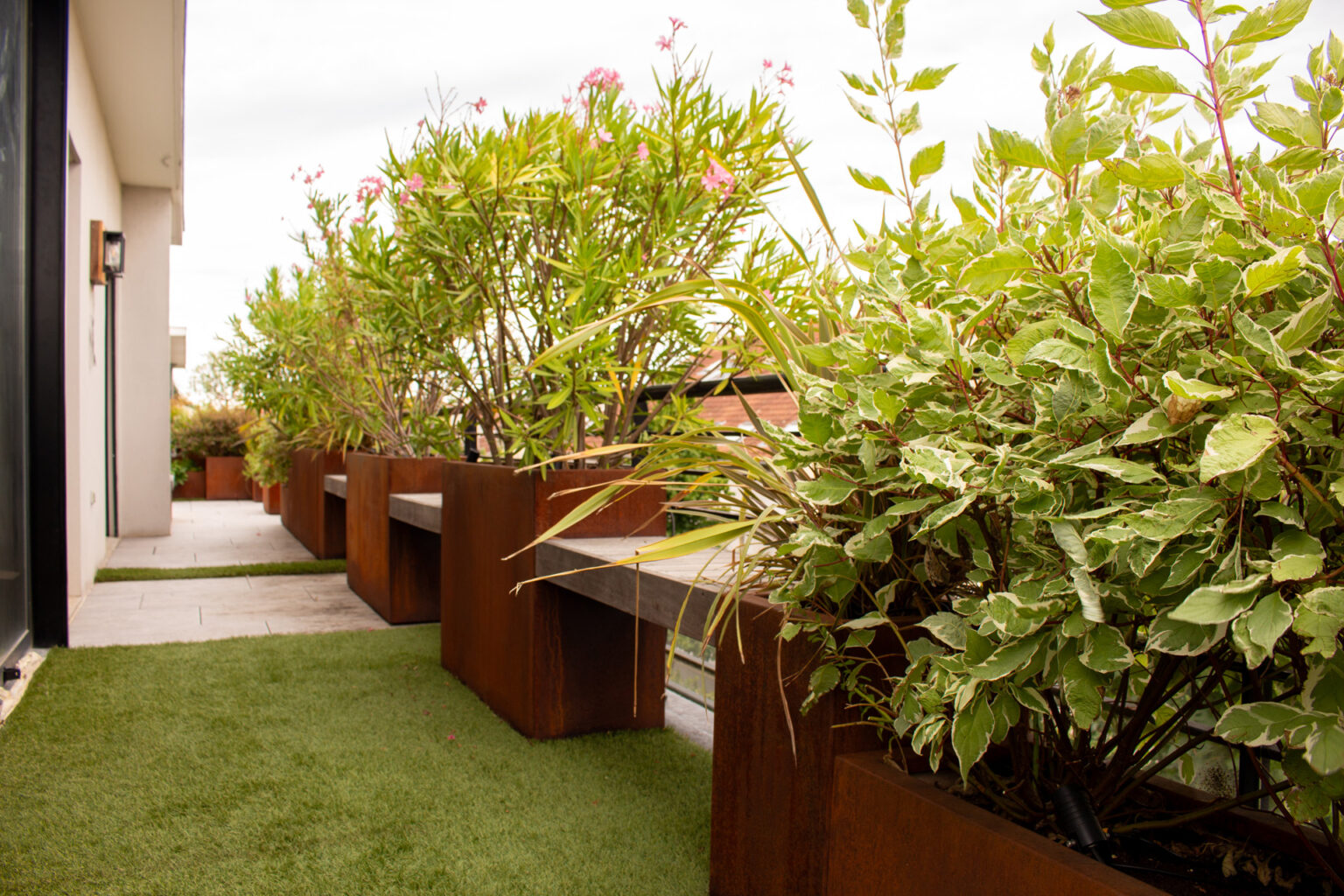 Bancs en ipé sur mesure suspendus entre des bacs corten plantés de lauriers-roses et de cornus panaché – projet PAEONIA