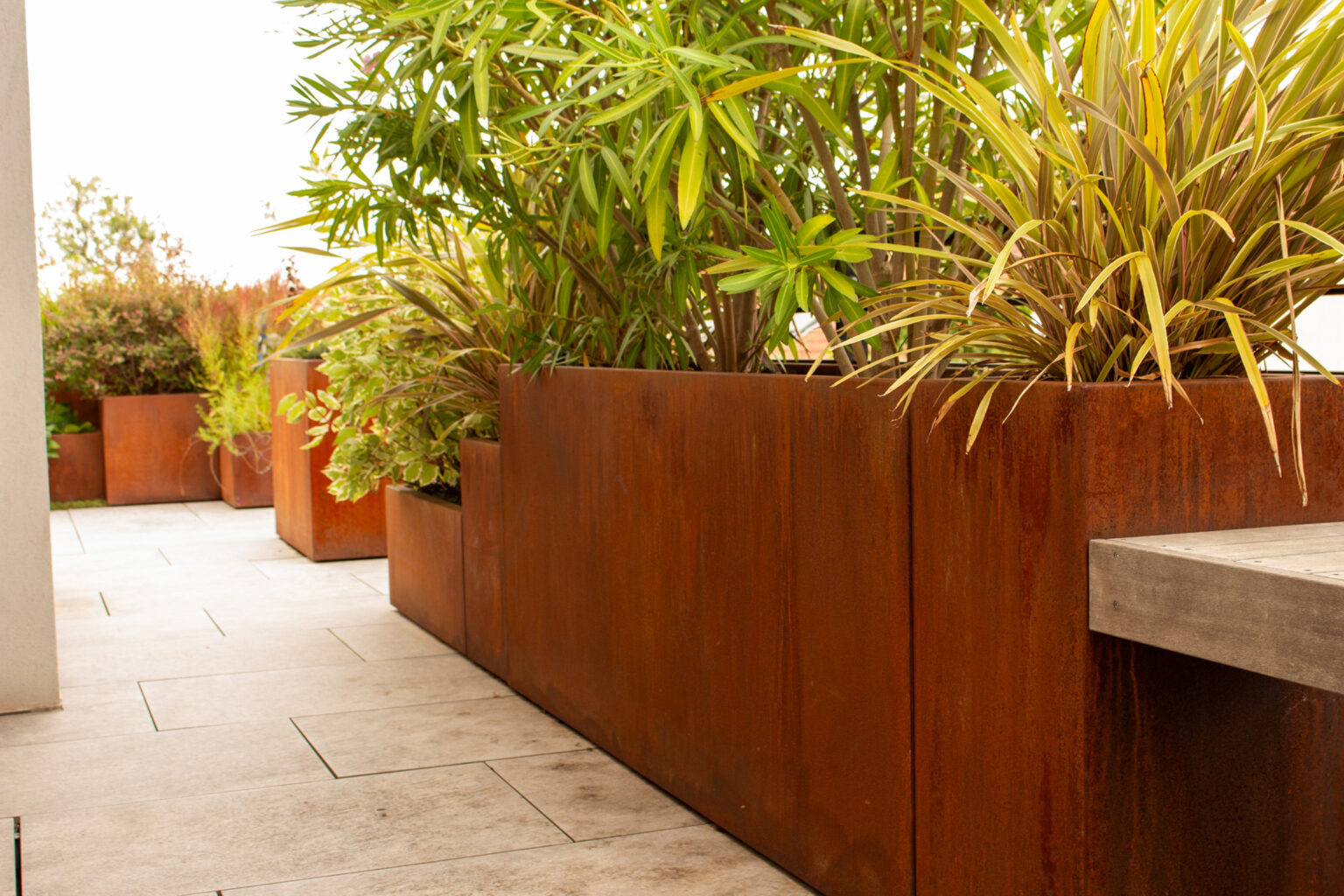 Bacs en corten plantés de phormium et laurier-rose le long d'un dallage en grès cérame, banc en ipé à droite – projet PAEONIA