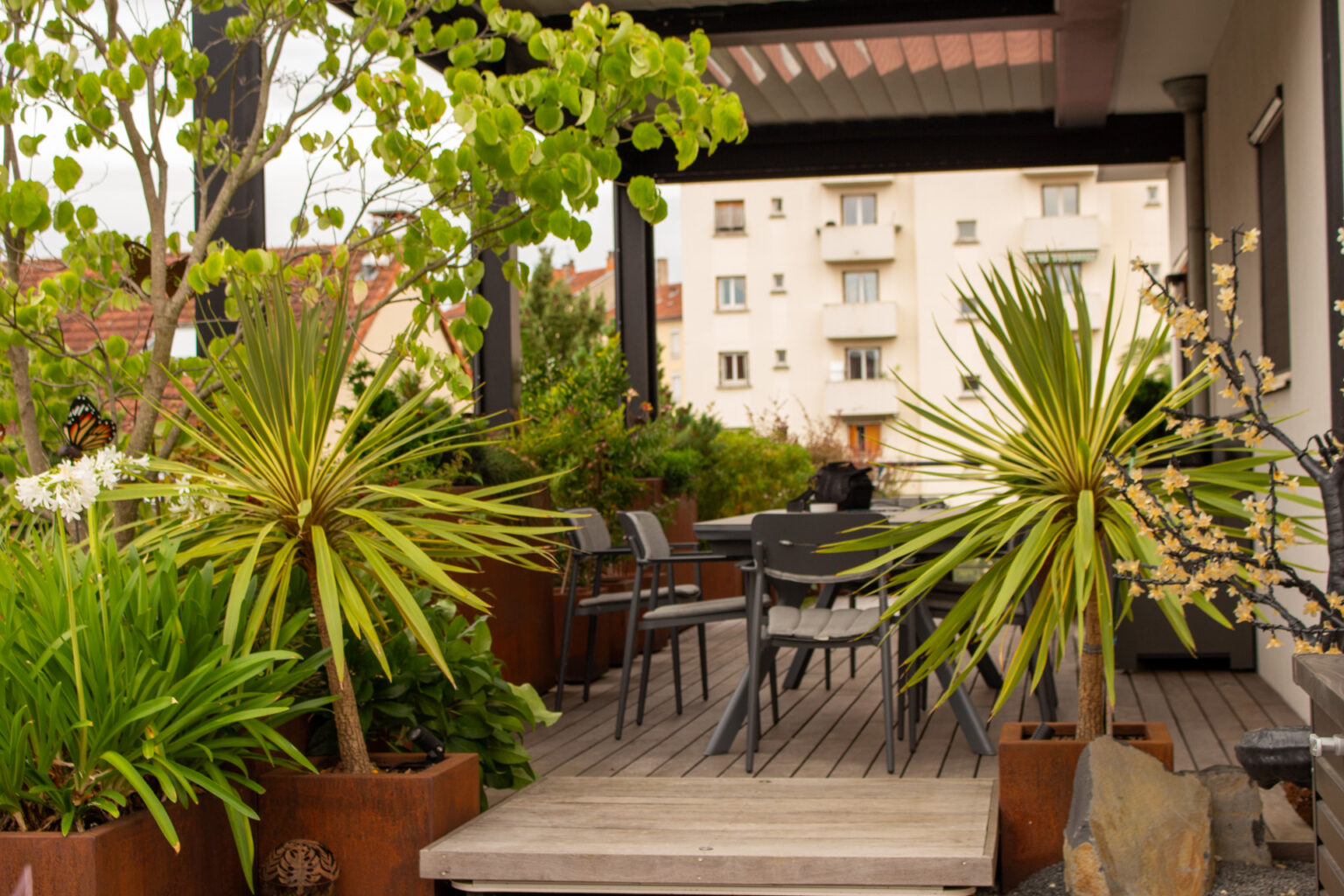 Cordylines et agapanthes en bacs corten encadrant la table à manger sous la pergola, rochers au premier plan – projet PAEONIA