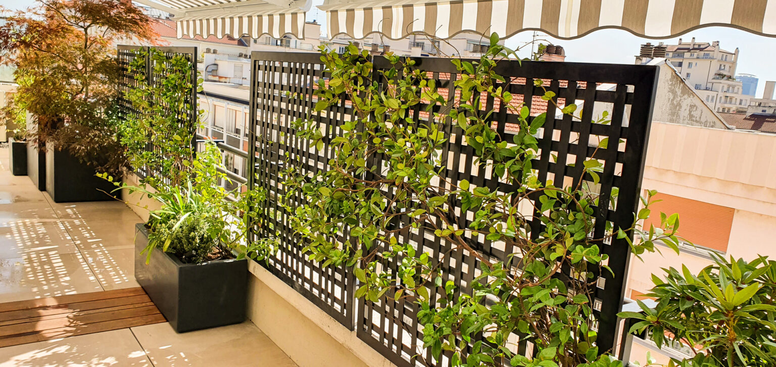 Claustras acier noirs ajourés et jardinières sombres garnies de grimpantes le long du garde-corps – projet SEDUM