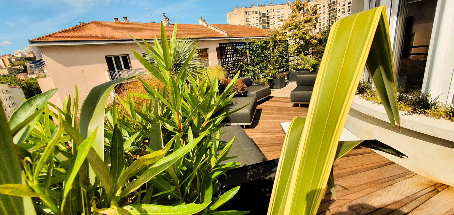 Feuillages de laurier-rose et phormium devant le platelage bois et les canapés d'une terrasse urbaine – projet SEDUM