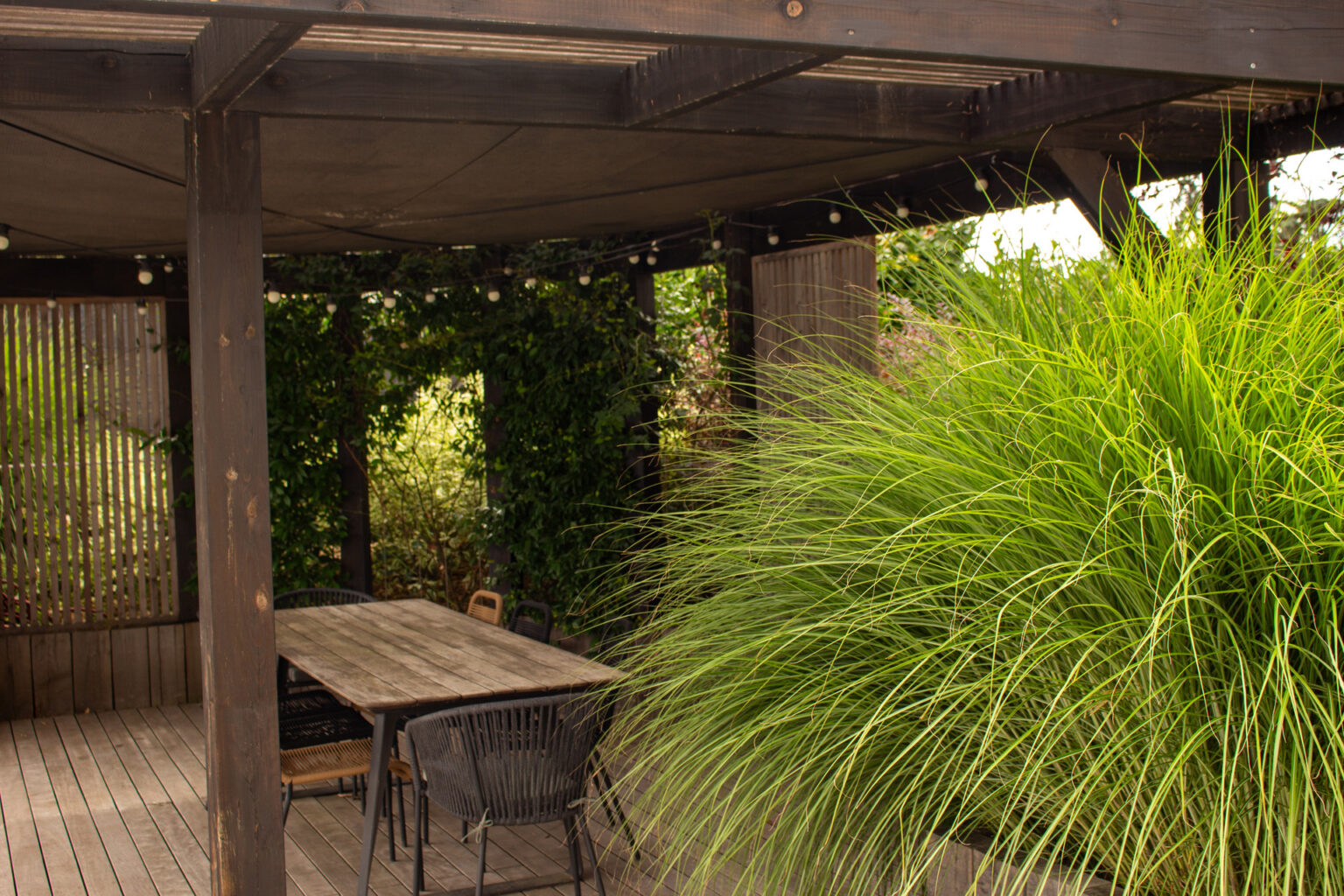 Table et chaises sous la pergola bois, guirlande d'ampoules, brise-vue en tasseaux et jasmin palissé – projet SALVIA