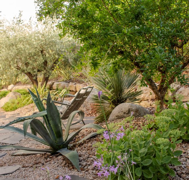 Jour de Jardin paysagiste villefranche sur saone et beaujolais BERA jardin minéral 20 Jour de Jardin paysagiste villefranche sur saone et beaujolais BERA jardin minéral 20