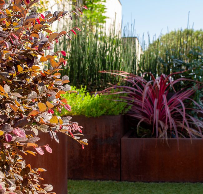 Jour de Jardin paysagiste villefranche sur saone et beaujolais JOU terrasse sur toit 13 Jour de Jardin paysagiste villefranche sur saone et beaujolais JOU terrasse sur toit 13