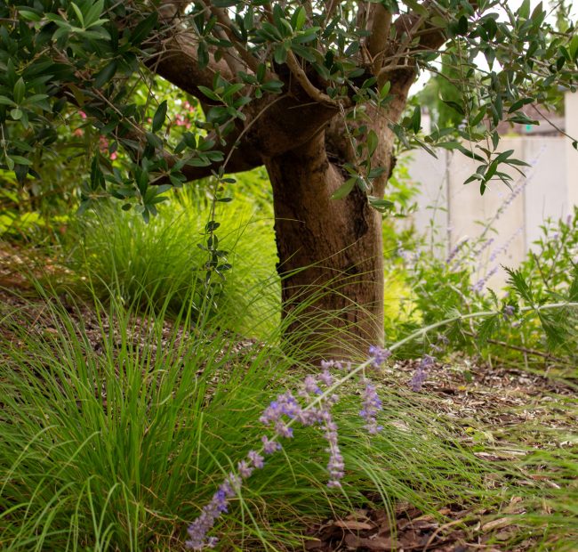 Jour de Jardin paysagiste villefranche sur saone et beaujolais LEF soutènement grès et végétalisation 22 Jour de Jardin paysagiste villefranche sur saone et beaujolais LEF soutènement grès et végétalisation 22