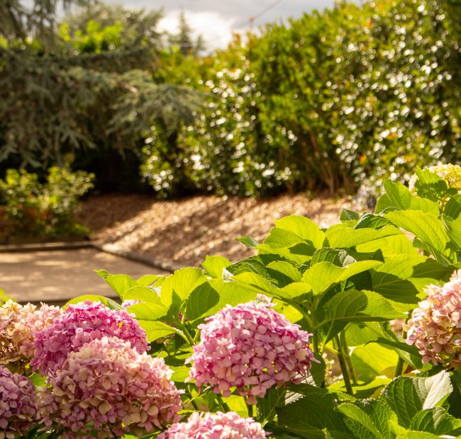 Jour de Jardin paysagiste villefranche sur saone et beaujolais WAJ pergola végétalisation escalier 37 Jour de Jardin paysagiste villefranche sur saone et beaujolais WAJ pergola végétalisation escalier 37
